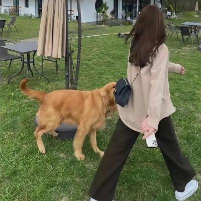 重返二叠纪